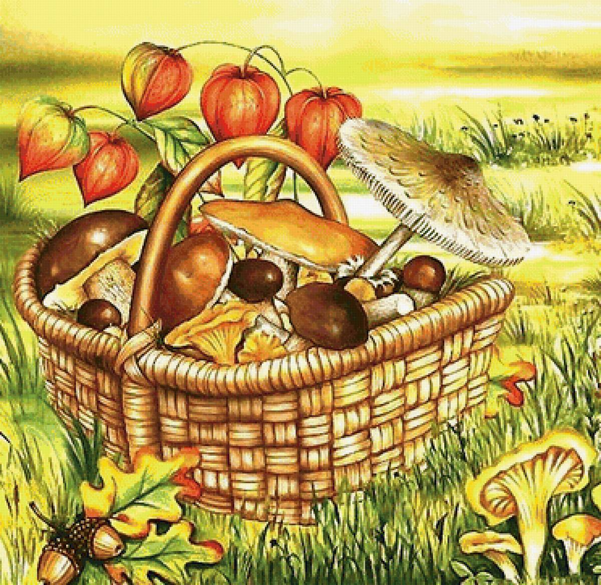 ГРИБЫ - предпросмотр