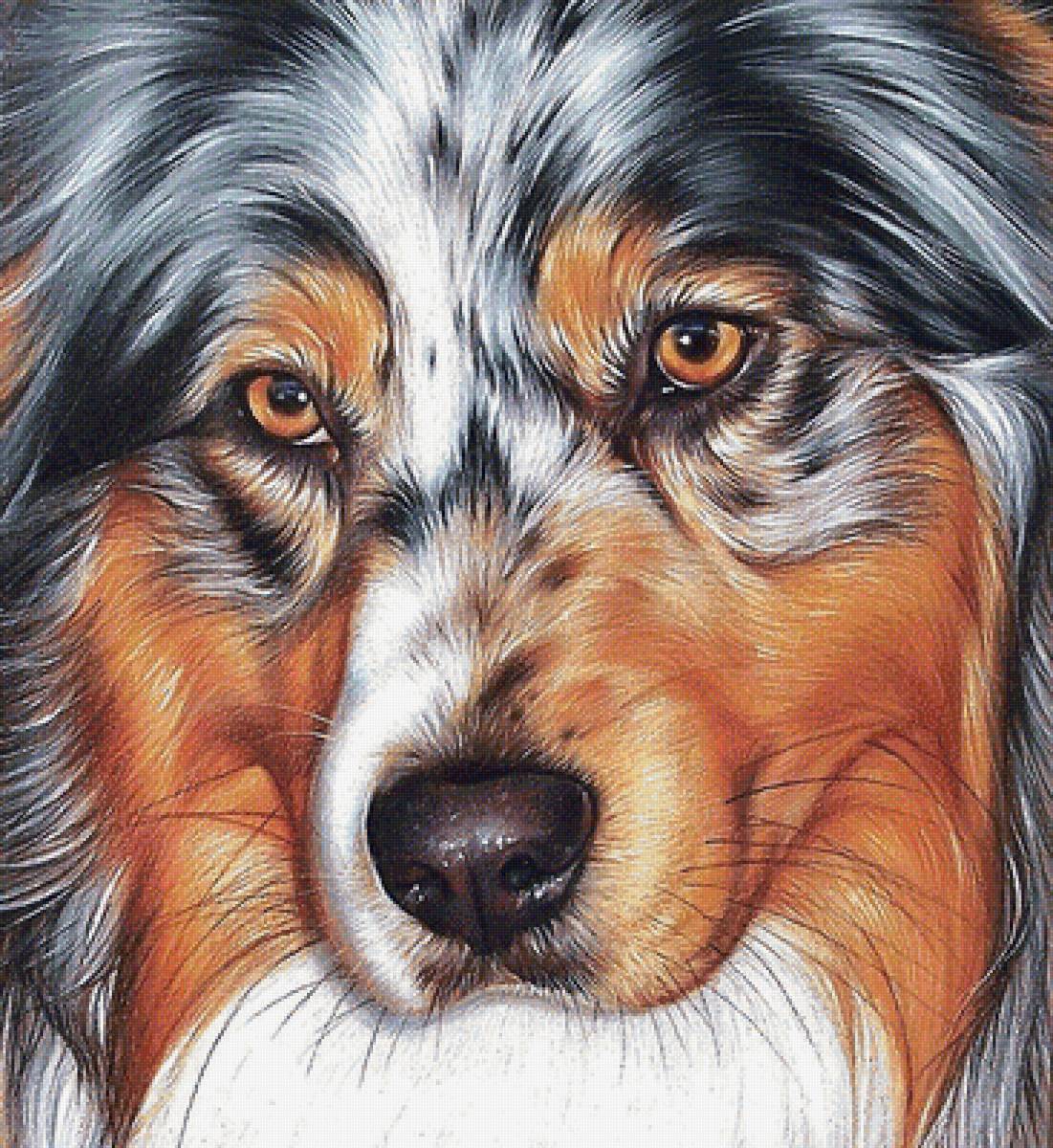 собака - предпросмотр