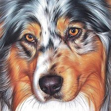 Схема вышивки «собака»