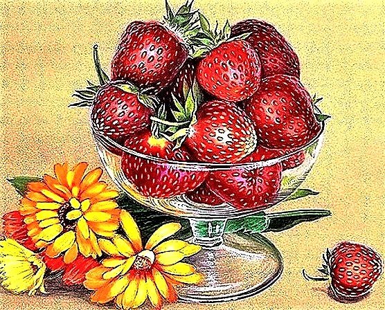 №1911646 - клубника - оригинал