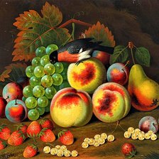 Схема вышивки «№1911648»