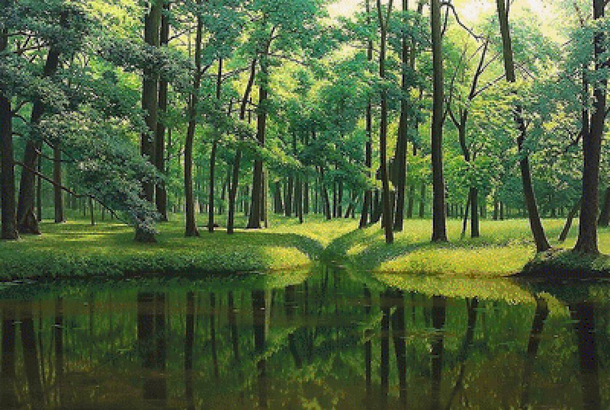 пейзаж - лето, лес - предпросмотр