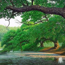 Схема вышивки «пейзаж»