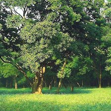 Схема вышивки «пейзаж»