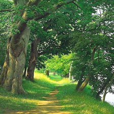 Схема вышивки «пейзаж»