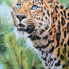 Схема вышивки «Леопард»