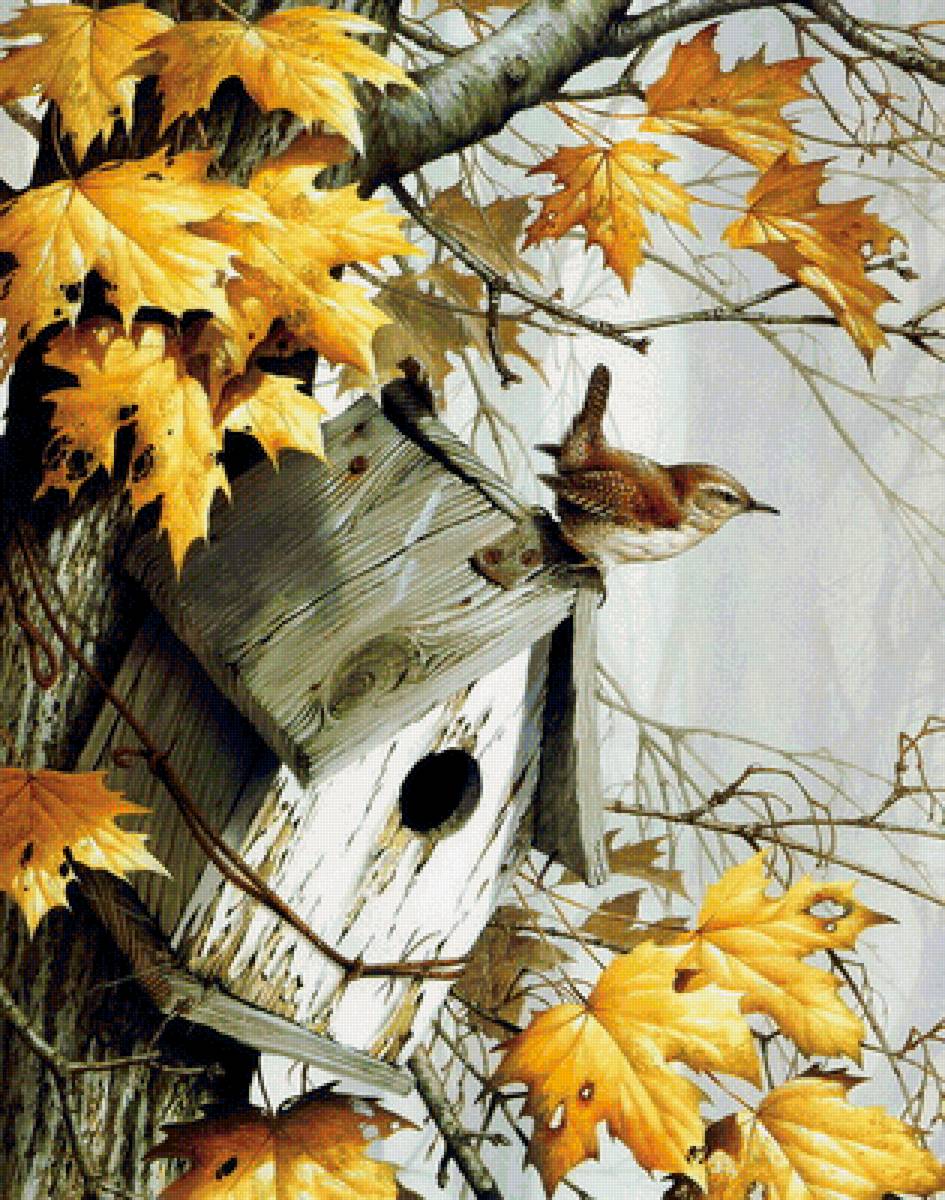 Мир птиц - природа, арт, домик, птица - предпросмотр