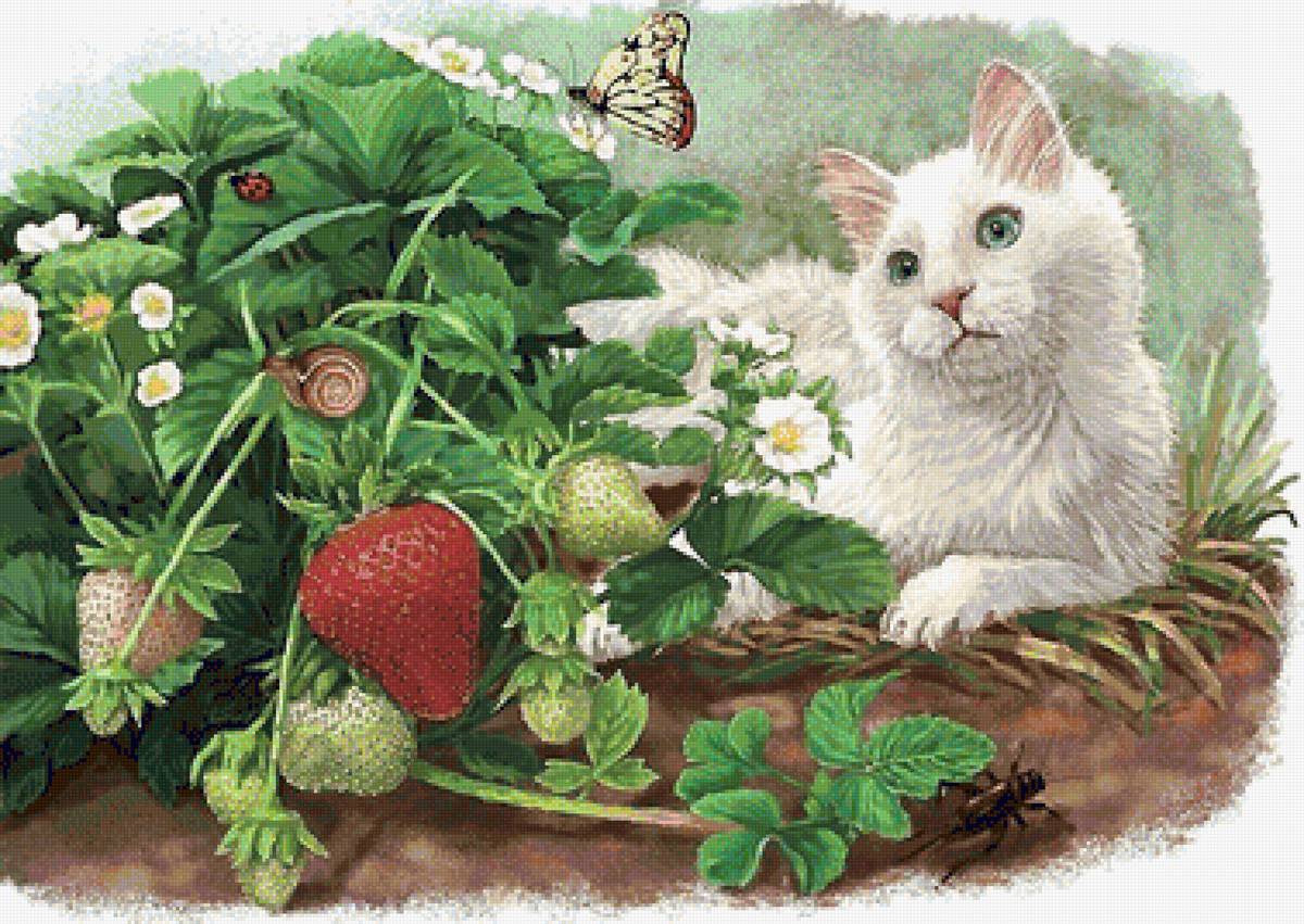 котик - предпросмотр