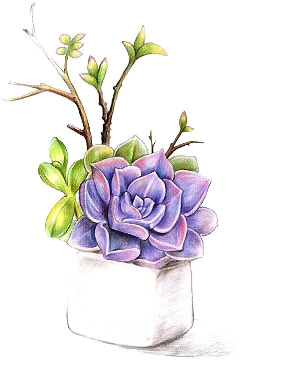 рисунок - оригинал