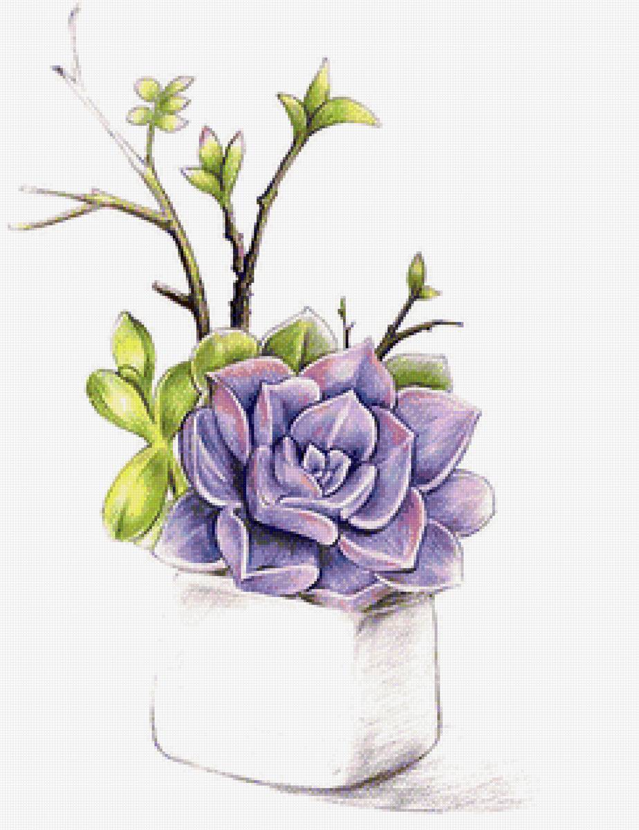 рисунок - предпросмотр