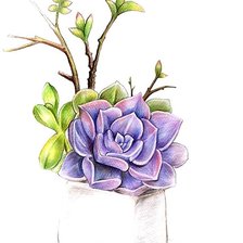 Схема вышивки «рисунок»