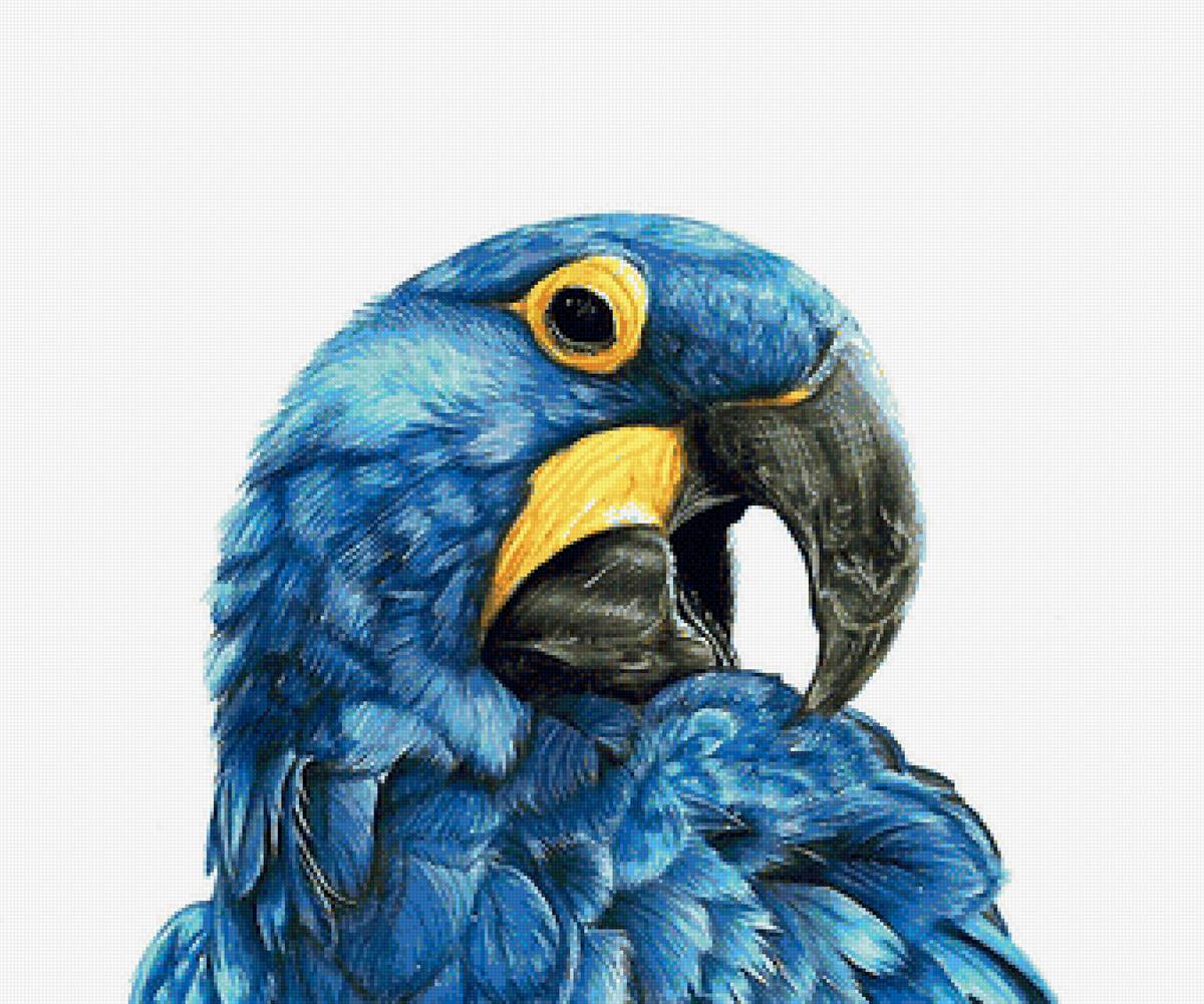 рисунок - предпросмотр