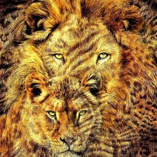 Схема вышивки «№1912018»