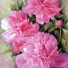 Схема вышивки «piwonie - olej»