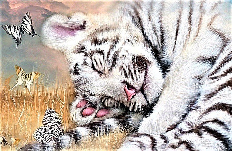 №1912090 - тигр - оригинал