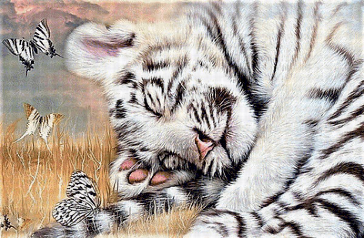 №1912090 - тигр - предпросмотр