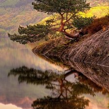 Схема вышивки «Пейзаж»