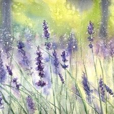 Схема вышивки «Полевые цвеы»