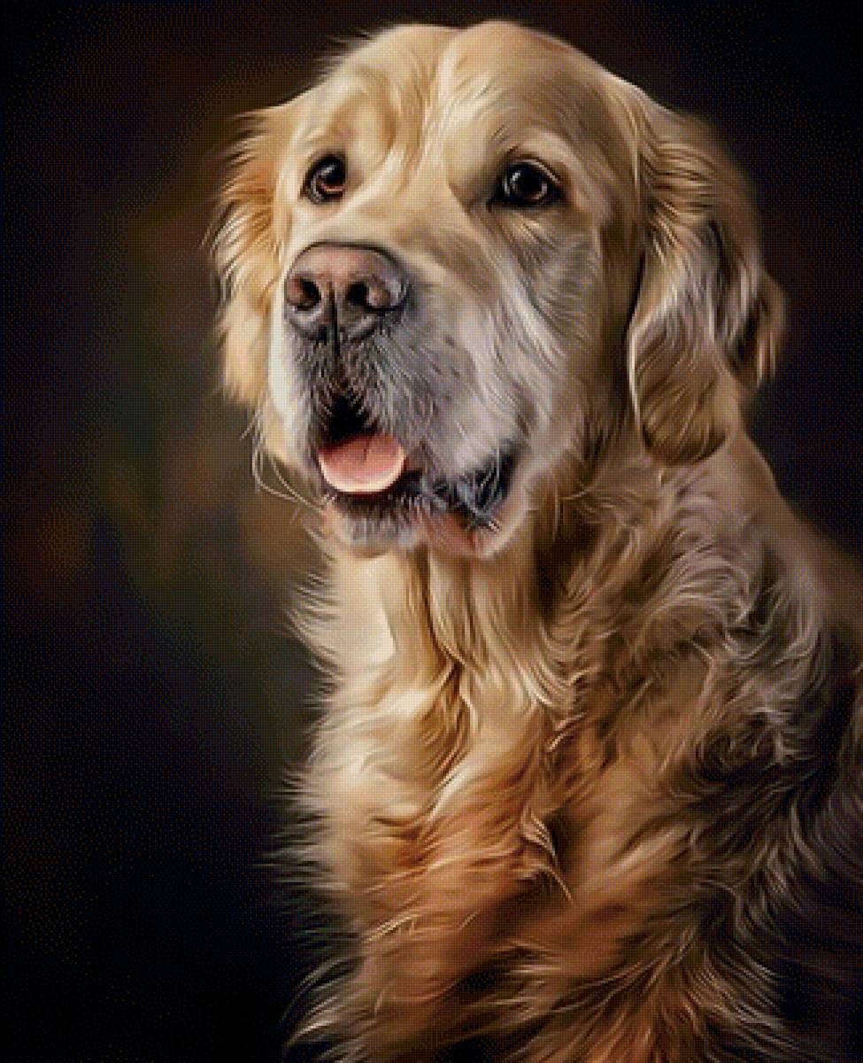 Собака - собака - предпросмотр