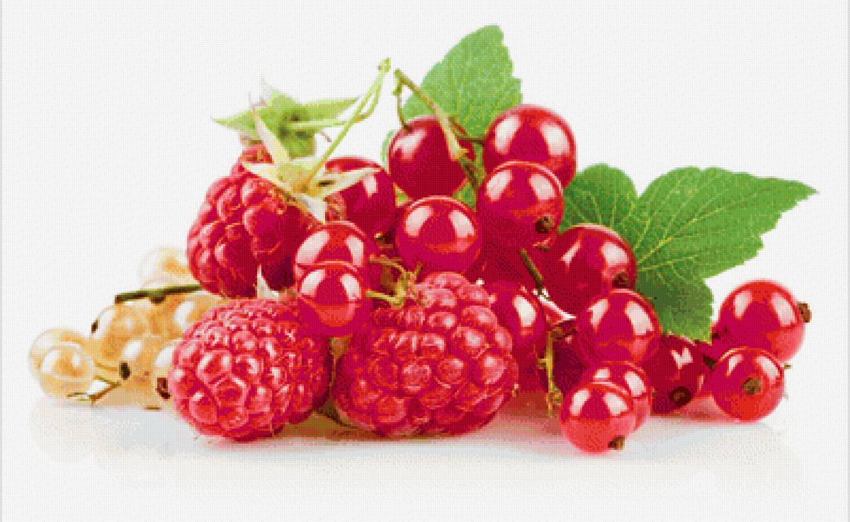 Ягодки - малина, красная смородина, ягоды - предпросмотр