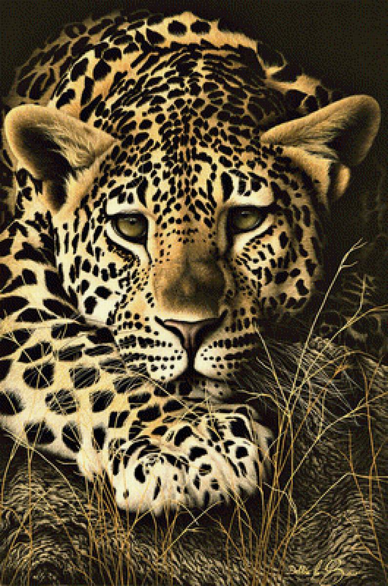 Мир животных - животное, леопард, арт, портрет - предпросмотр