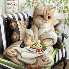 Кот и пироженка