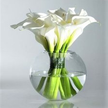 Схема вышивки «KАЛЛЫ»