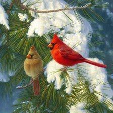 Схема вышивки «Птички»