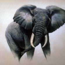 Схема вышивки «№1912962»