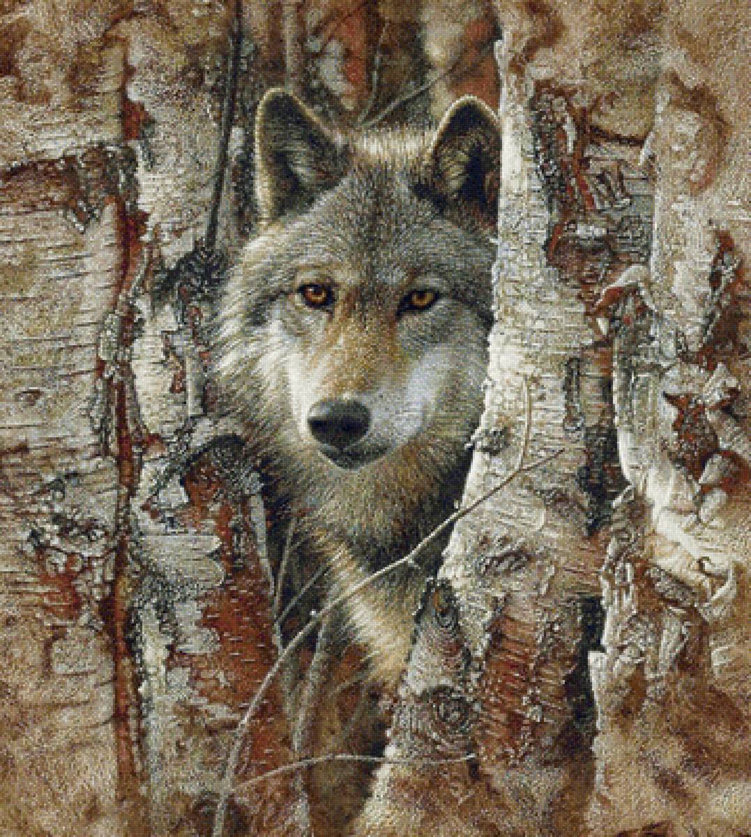 Волк - звери, животные - предпросмотр