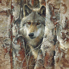 Схема вышивки «Волк»