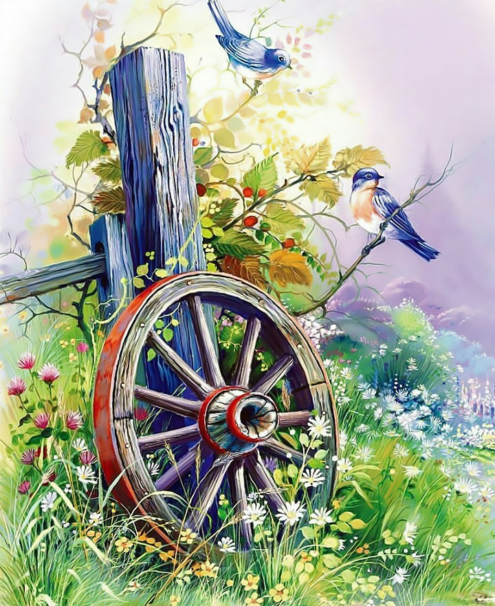 Птички - птицы природа луг - оригинал