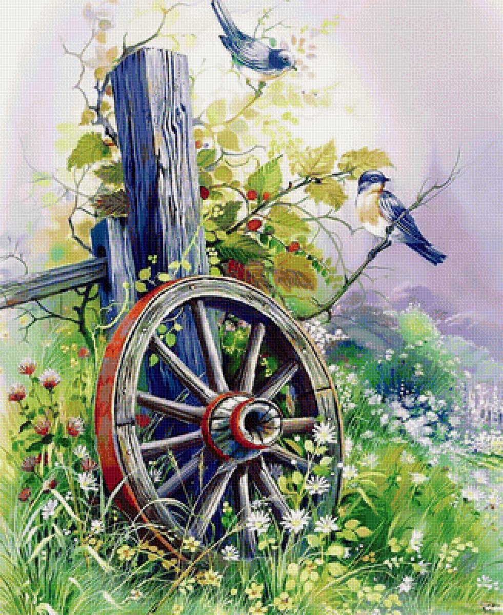 Птички - птицы природа луг - предпросмотр