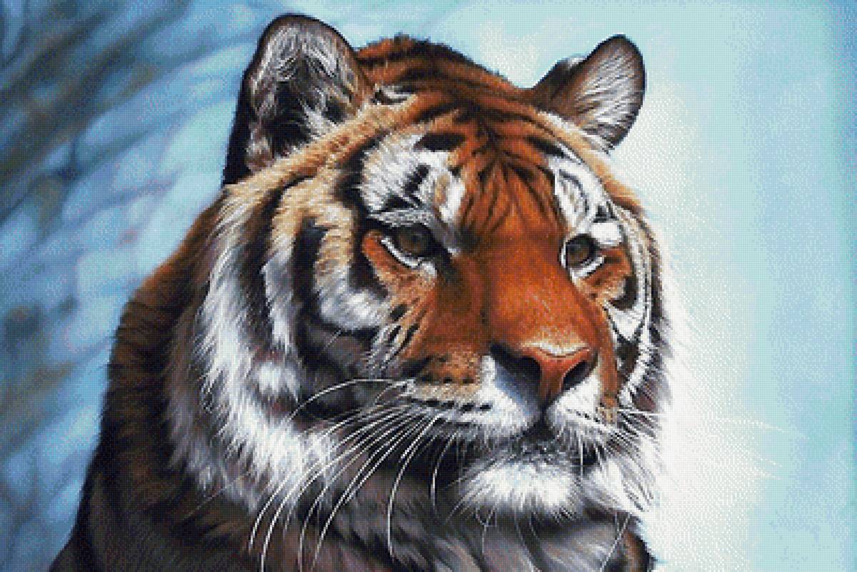 тигр - мир животных - предпросмотр