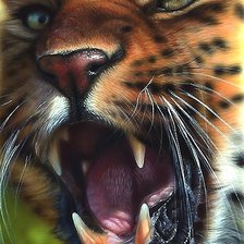 Схема вышивки «тигр»