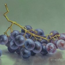 Схема вышивки «ВИНОГРАД»