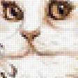 Предпросмотр схемы вышивки «кошечка» (№1913608)