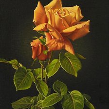 Схема вышивки «№1913816»