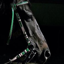 Схема вышивки «лошадь»