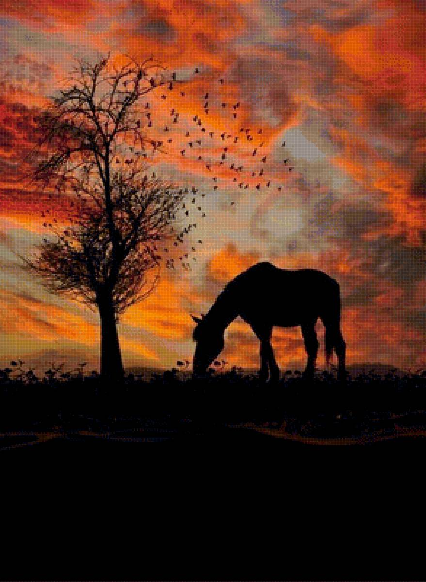 лошадь - лошадь, природа, закат - предпросмотр