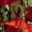 Предпросмотр схемы вышивки «маки» (№1913869)