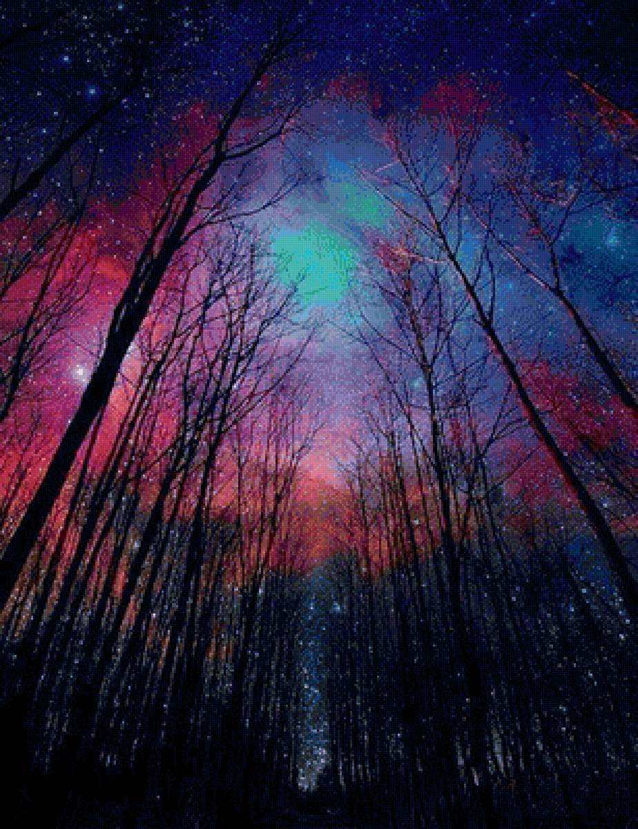 лес - ночь, фантастика, волшебство, космос, лес - предпросмотр