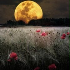 Схема вышивки «луна»