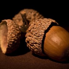 Схема вышивки «жёлуди»