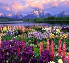 Схема вышивки «альпийские луга»