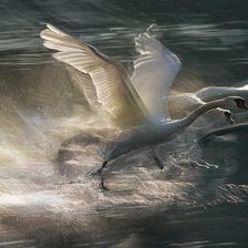 Схема вышивки «SPRING TIME»