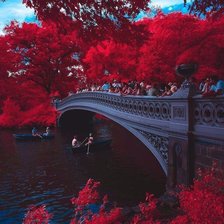 Схема вышивки «осенний мост»