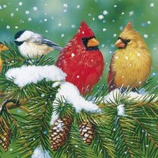 Схема вышивки «Птички»