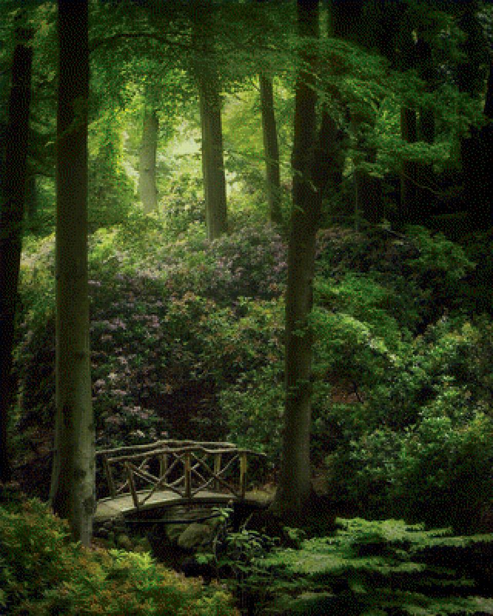 Мостик в лесу - лес, природа, пейзаж - предпросмотр