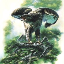 Схема вышивки «акварель»